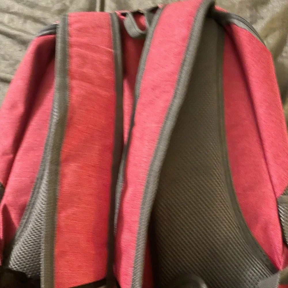 Dog carrier backpack